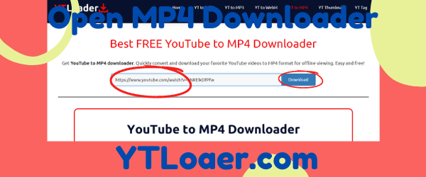 YTL MP4 Downloader - step 02