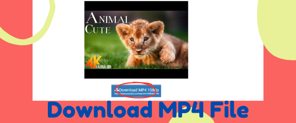 YTL MP4 Downloader - step 03